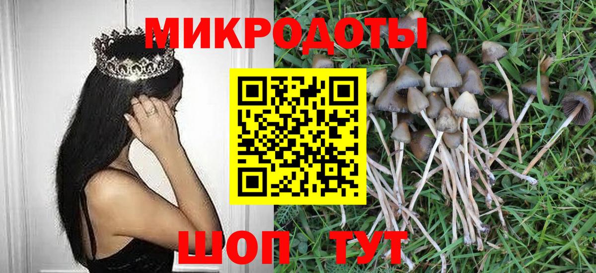 Галлюциногенные грибы мицелий Радужный