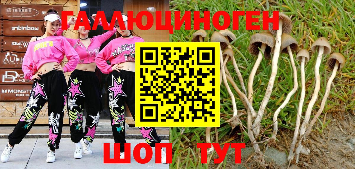 Псилоцибиновые грибы Psilocybine cubensis  Галлюциногенные грибы Magic Shrooms  Вход с VPN  Радужный 