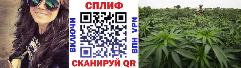 Канабис AK-47  купить наркотики цена  Радужный 